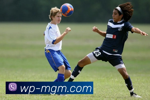 美高梅官网品牌故事