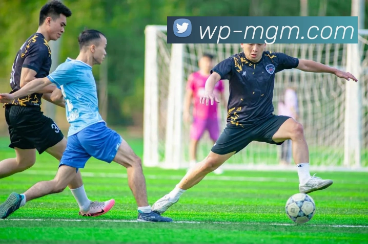 美高梅官网服务体系