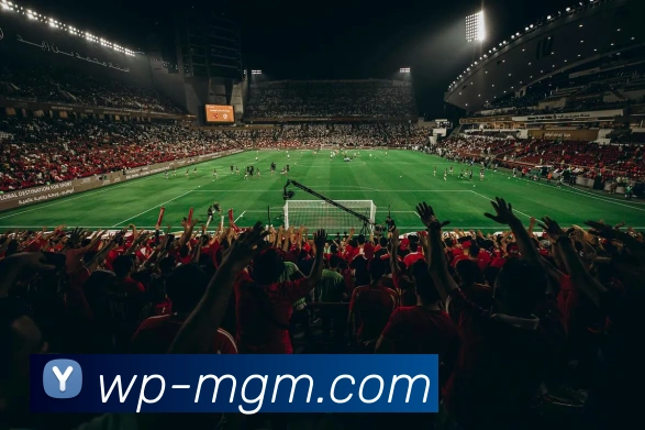 多媒体互动体验