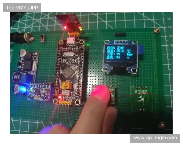 基于STM技术构建家庭共享游戏机制的创新与实践探索